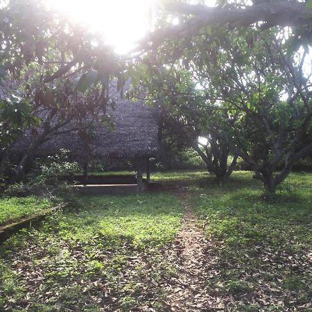 Art Forest Otel Auroville Dış mekan fotoğraf