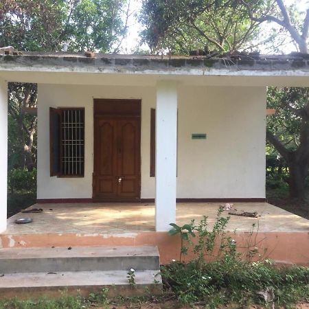 Art Forest Otel Auroville Dış mekan fotoğraf