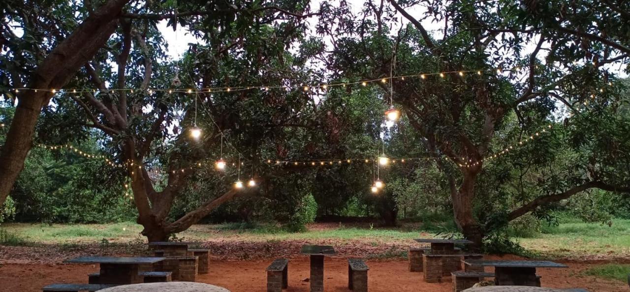 Art Forest Otel Auroville Dış mekan fotoğraf