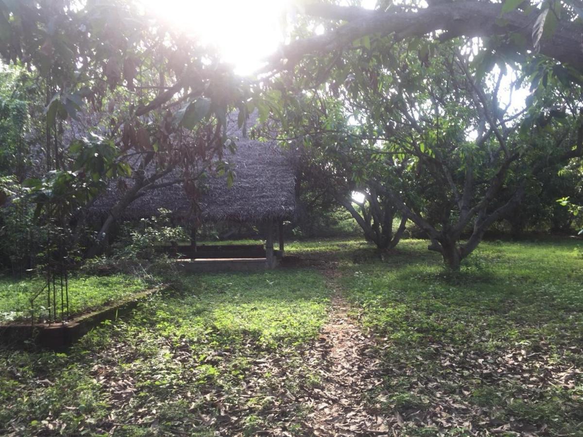 Art Forest Otel Auroville Dış mekan fotoğraf