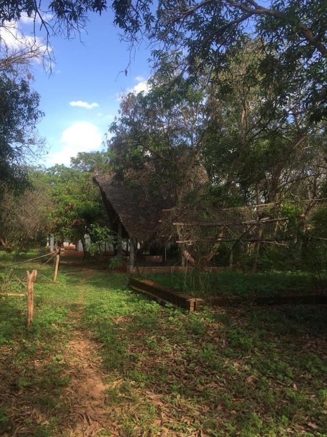 Art Forest Otel Auroville Dış mekan fotoğraf