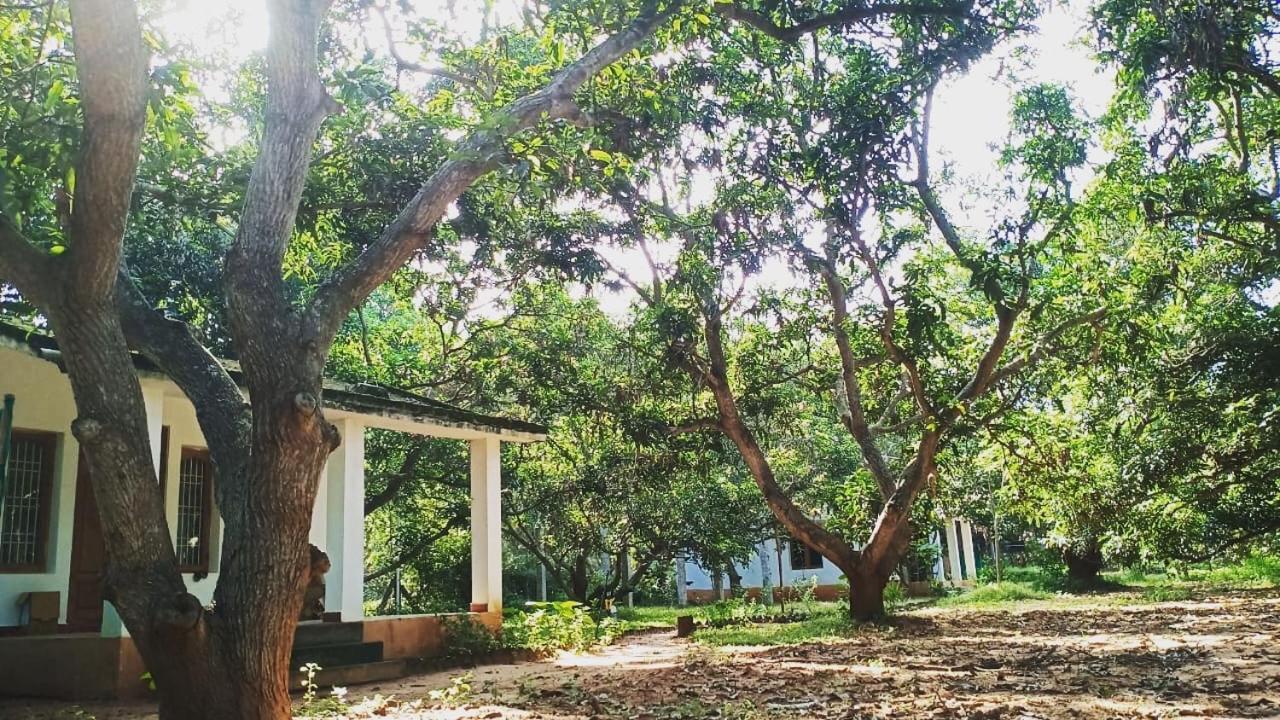 Art Forest Otel Auroville Dış mekan fotoğraf