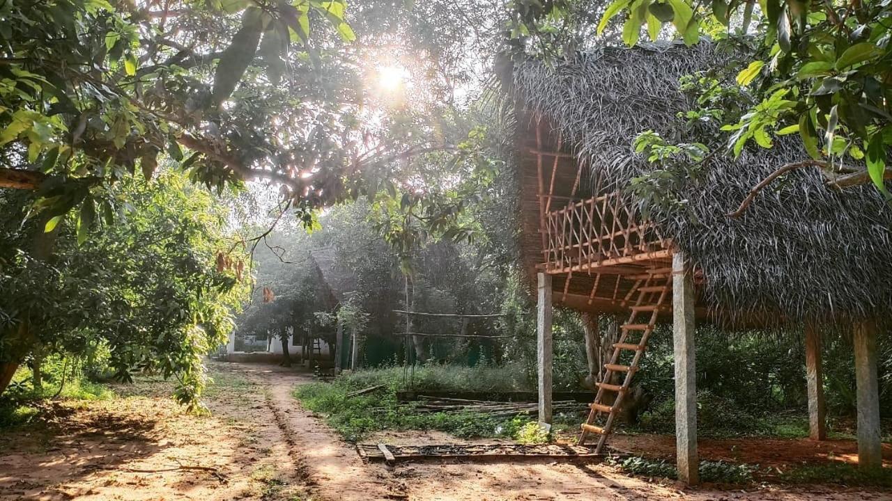 Art Forest Otel Auroville Dış mekan fotoğraf